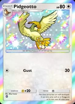 Pidgeotto card in English