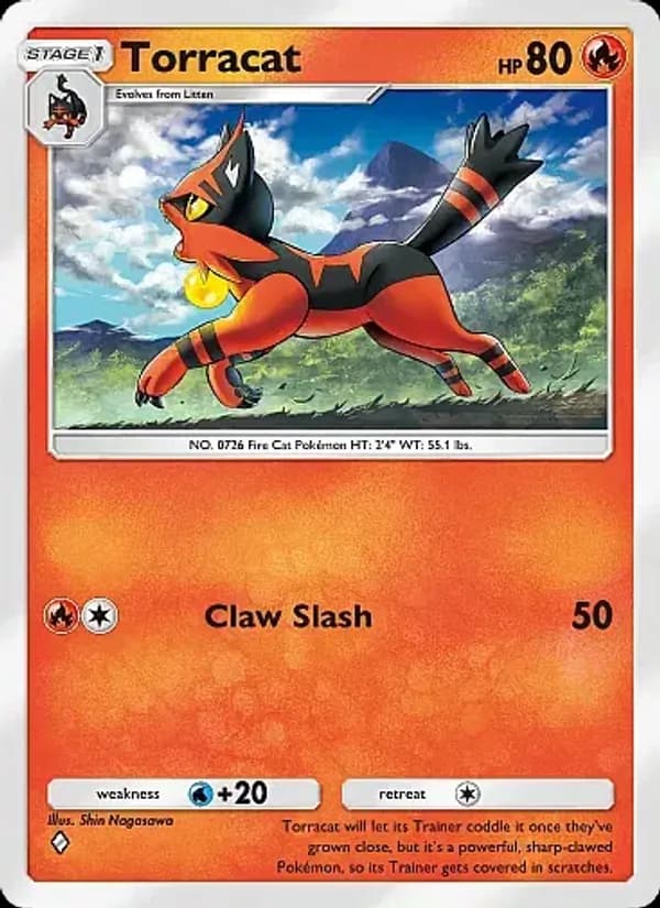 Torracat card in English