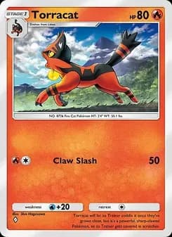 Torracat card in English