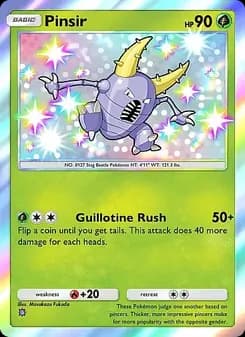 Pinsir card in English