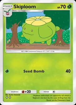 Skiploom card in English