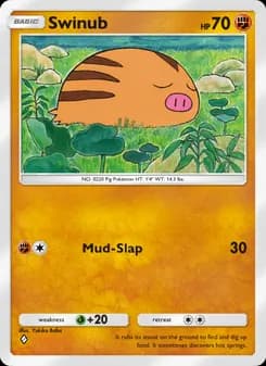 Swinub card in English