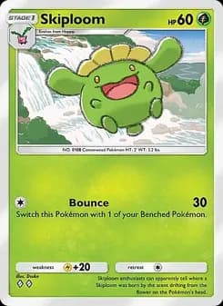 Skiploom card in English