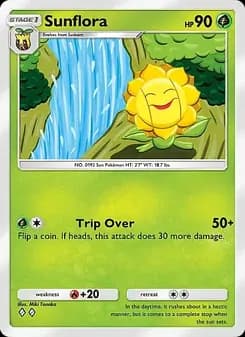 Sunflora card in English
