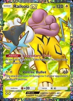 Raikou ex card in English