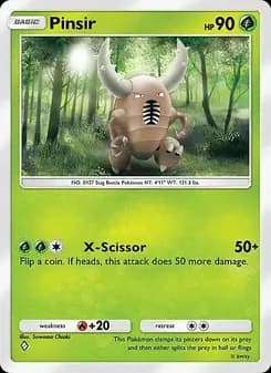 Pinsir card in English