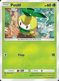 Petilil card in English