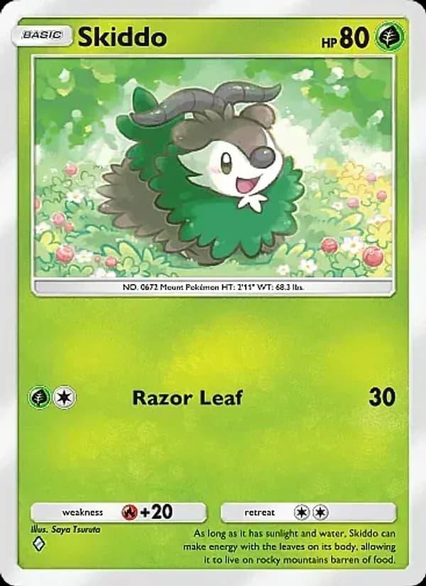 Skiddo card in English