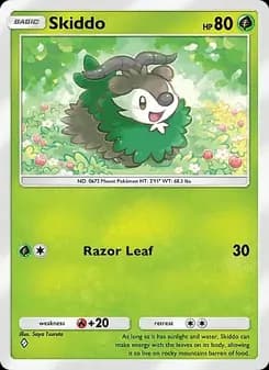 Skiddo card in English