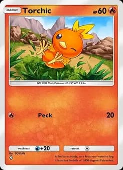 Torchic card in English