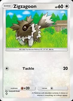 Zigzagoon card in English