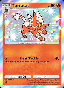 Torracat card in English