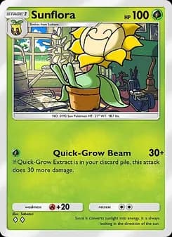 Sunflora card in English