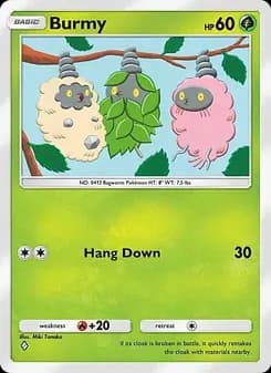 Burmy card in English