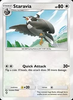 Staravia card in English