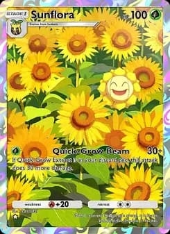 Sunflora card in English