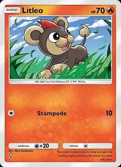 Litleo card in English