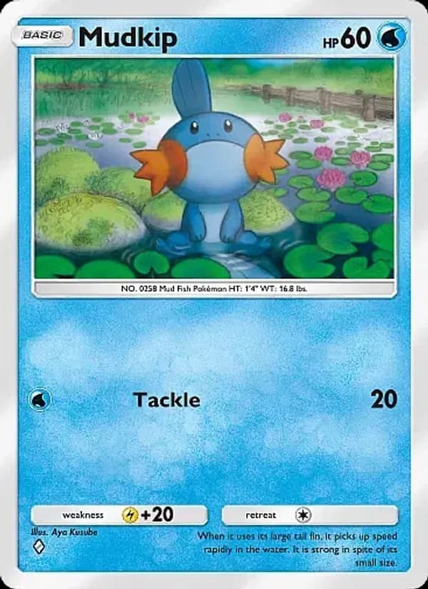 Mudkip card in English