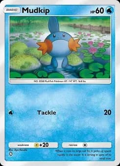 Mudkip card in English