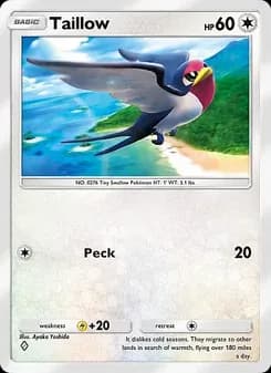 Taillow card in English