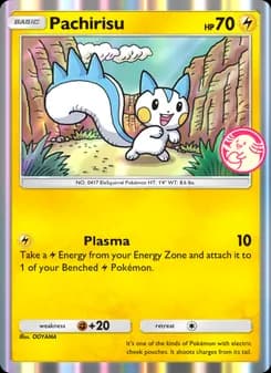 Pachirisu card in English