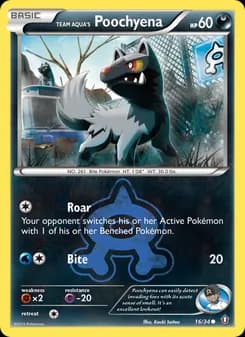 Team Aqua's Poochyena card in English