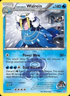 Team Aqua's Walrein card in English