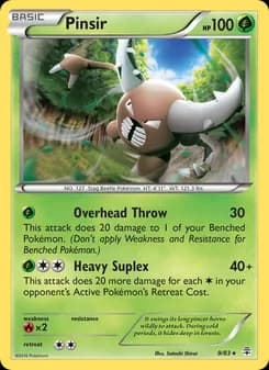 Pinsir card in English