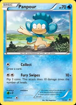 Panpour card in English