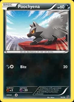 Poochyena card in English