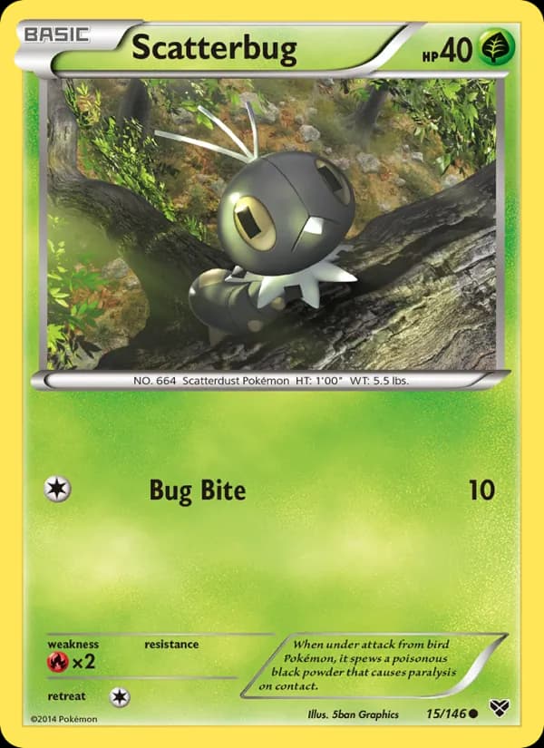 Scatterbug card in English