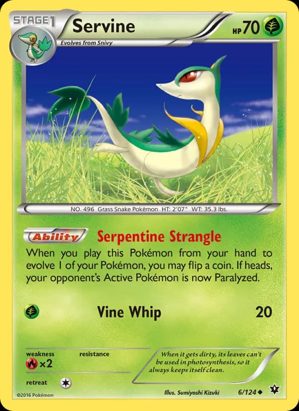Servine card in English