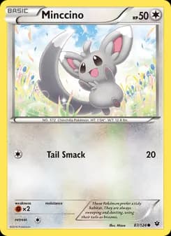 Minccino card in English