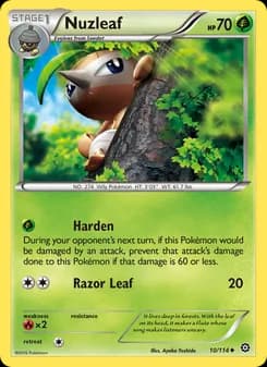Nuzleaf card in English