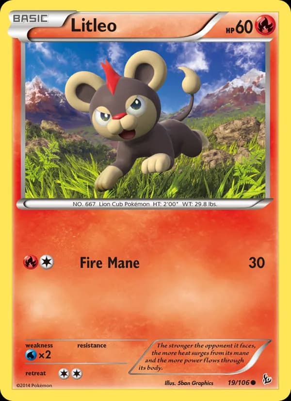 Litleo card in English