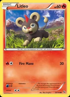 Litleo card in English