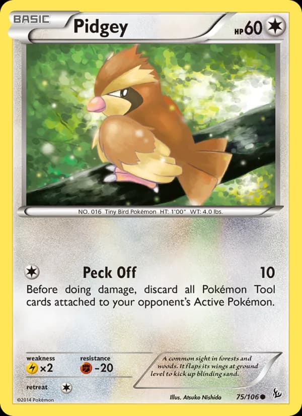 Pidgey card in English