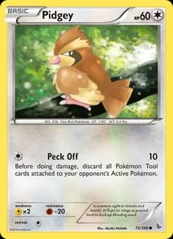 Pidgey card in English