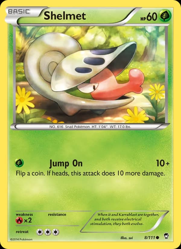 Shelmet card in English