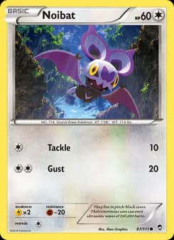 Noibat card in English