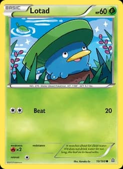 Lotad card in English
