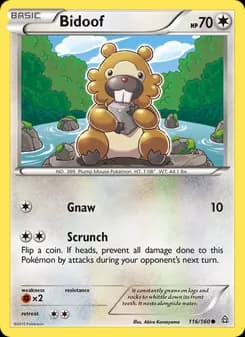Bidoof card in English