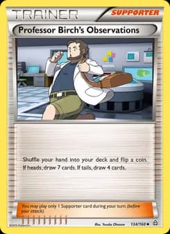 Professor Birch's Observations card in English