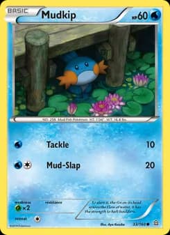 Mudkip card in English