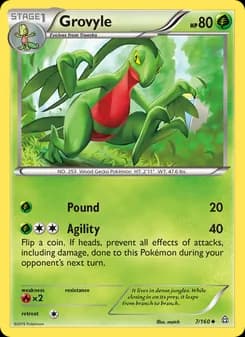 Grovyle card in English