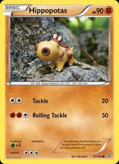 Hippopotas card in English