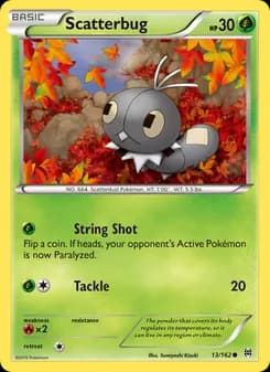 Scatterbug card in English