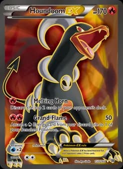 Houndoom EX card in English