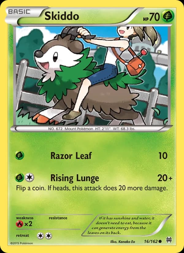 Skiddo card in English