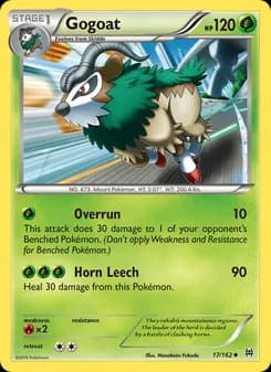Gogoat card in English